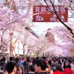 Journey Dream Boutique hotel (Nanjing Xinjiekou Deji Plaza) - Romantic