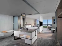 RADISSON BLU HOTEL NANJING SOUTH NEW TOWN - 新規開業