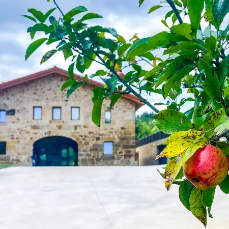 Solatsu Baserria - Apartament in the countryside