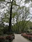 Qingxi She · Mountain Rafting Family Homestay(Ningguo South Anhui) - Mountain view
