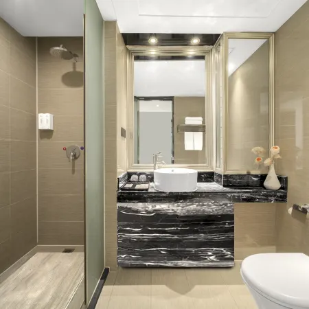 Jingdu Exquisite Hotel ( Xiangyang Xingfu Road Railway Station)
