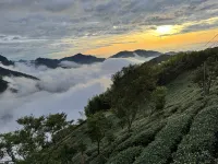 TysonB&B โรงแรมใกล้ป่าหวังโหย่ว