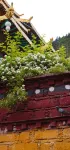 JI Hotel (Nyingchi Nanyue Avenue Niyang Shiguang) - Mountain view