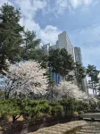 Staz Hotel Premier Dongtan - Romantic