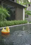 Wenzhou Pingyang Ponan Huanglong Cuili Hotel - piscina