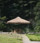 Bugu Island Courtyard - breakfast