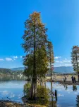 Yuyao Chunyi Juzhuju (Siming Lake Scenic Area)