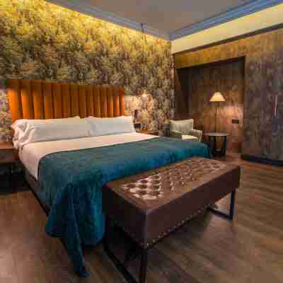 Catalonia Donosti Rooms