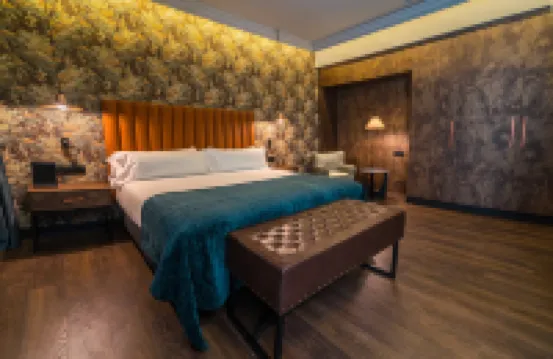 加泰羅尼亞多諾斯蒂酒店