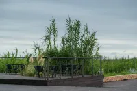 STARRY   INN - bar