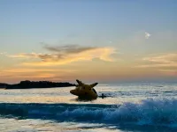 Dolphin Bay Island Resort Hotels in Kota Belud
