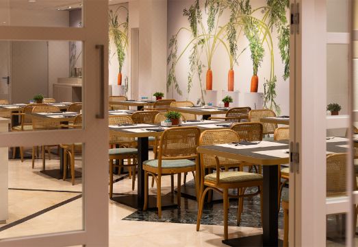 카탈로니아 디아고날 센트로