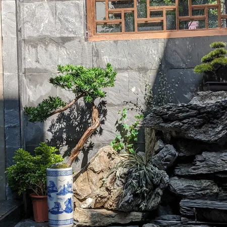 Chenzhou Zhenyuan Hotel