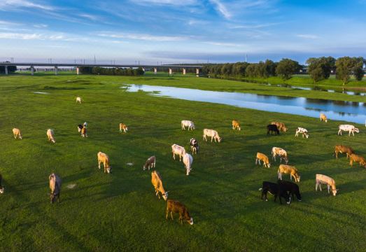 Xinmin American County Kangleyuan Hot Spring Club Hotel Overview