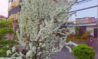 Hanyuan Sijiyuan Homestay