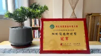 Jian Dexuan homestay in Heping County Отели в г. Хэпин