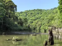 陶園度假山居 Hotels near Green Dragon Pool