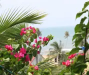 Quoc Dinh Guesthouse