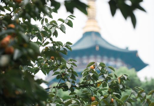 5. 저장 씨지 호텔..