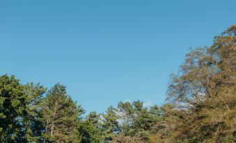 Izu Shaboten  Village Glamping