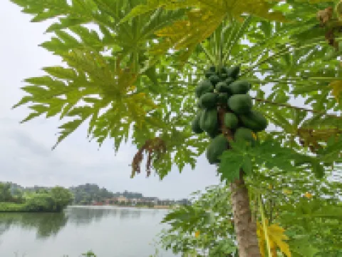 Foshan Sanshui Qingyue Hot Spring Homestay