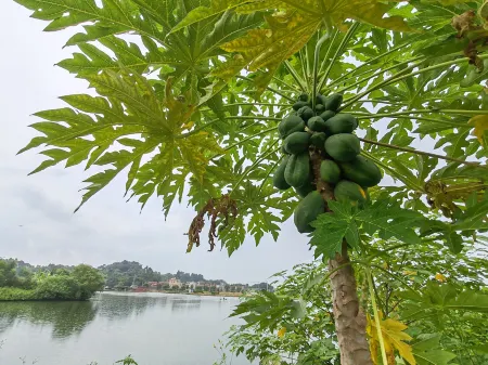 Foshan Sanshui Qingyue Hot Spring Homestay Отели рядом с достопримечательностью «Xujiang Ancestral House»