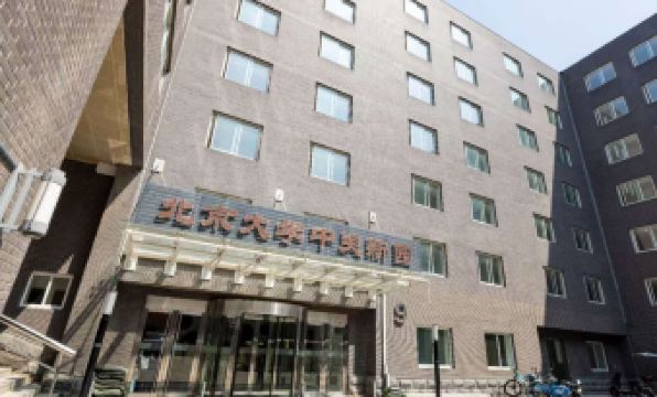 Zhongguanyuan Global Village PKU