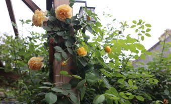 Nanxiyuan Riverside Homestay