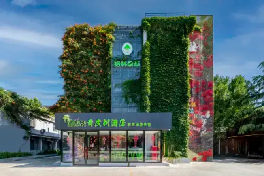 Vatica Hotel (Tai'an Taishan Station Daimiao) Hoteles en 