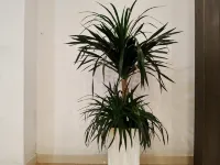 Hengdian Huayuan Hotel (Along the River During the Qingming Festival)