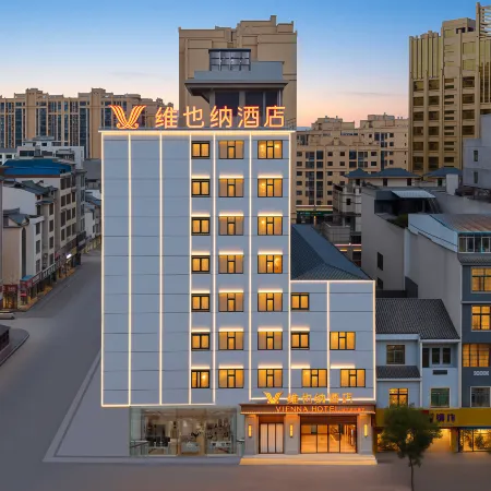 Vienna Hotel (Guangnan High-Speed Rail Station Branch