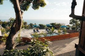 Auguste's Creole Houses in a Tropical Garden