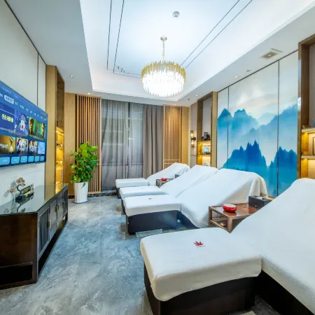Fenglin Nanyuan International Hotel (Gaoxin Wanda Plaza Mutasi Subway Station)