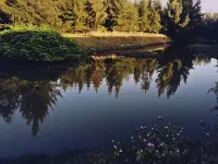 Carlton Express Hotel (Ledong Huangliuzhen Branch)