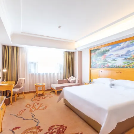 Vienna International Hotel (Boluo Longxi)