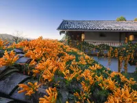 Yi She Panoramic Inn Hotels in Tengchong