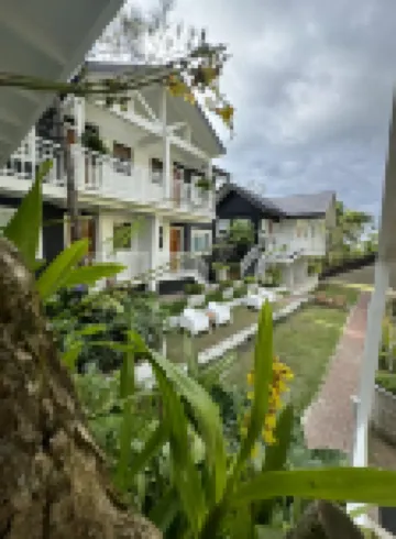 ザ カーメレンス プレイス バイ セリロス