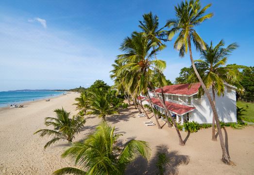 트링코 블루 바이 친나몬