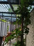 Luo Huadao Homestay (Ancient Tomb Museum Store) Hotels in North airport area
