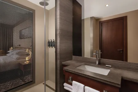 喜來登伊斯坦堡市中心飯店