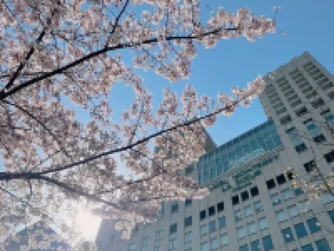 Hotel Monterey La Soeur Osaka Hotels near Osaka Castle Museum