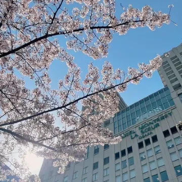 大阪蒙特利拉蘇瑞飯店 大阪城附近的飯店