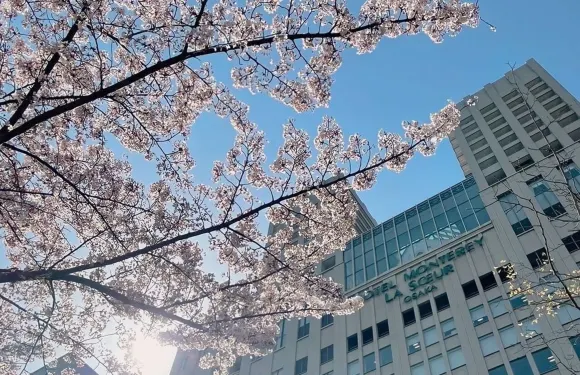 大阪蒙特利拉蘇瑞酒店