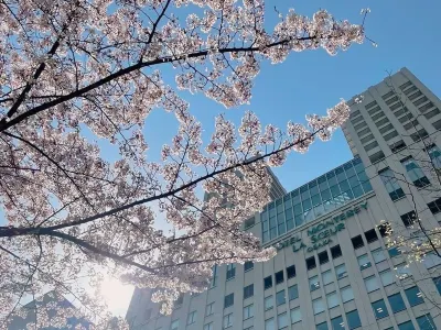Hotel Monterey La Soeur Osaka Hotels in Osaka
