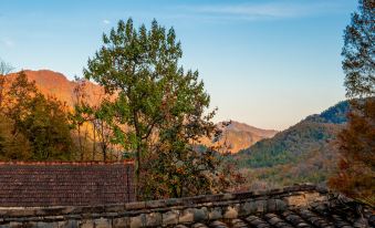 Liuba Mountain and Twelve Habits