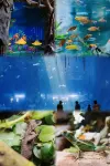 Zhujiajian Xiyou LOFT Holiday Apartment - โรแมนติก