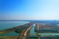 โรงแรมดาเม่ย์ เคอร์รี่ (สาขาเซี่ยวกาน โชวเหิงซิตี้) - วิว