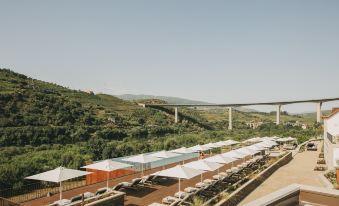 Torel Quinta da Vacaria – Douro Valley