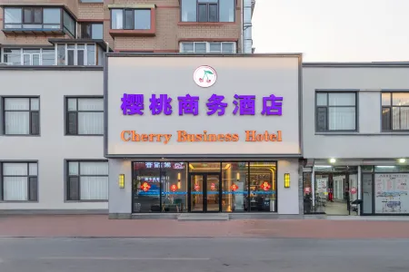 Dalian Airport Cherry Hotel