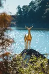 Jinhua Youyou Luming Hotel - Bjergudsigt